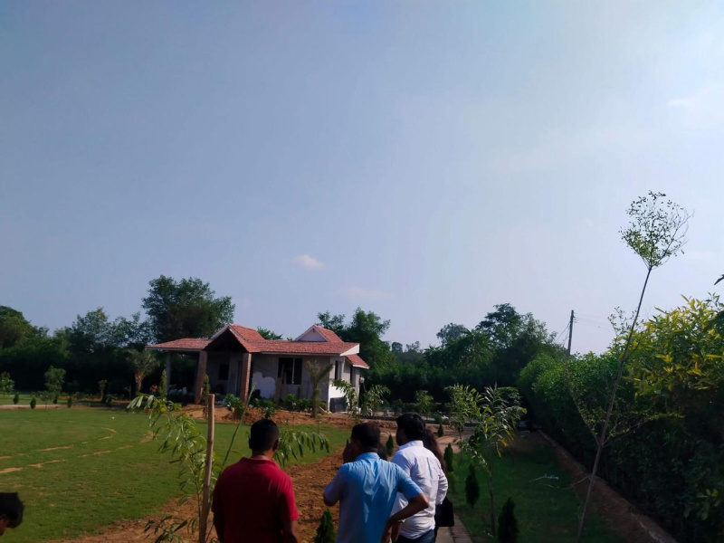  1210 Sq. Yards Agricultural/Farm Land for Sale in Sohna, Gurgaon