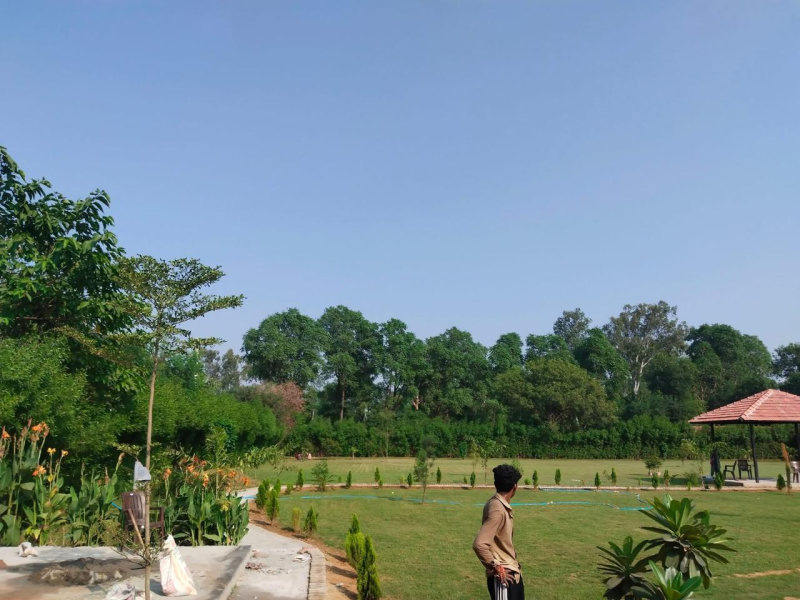  1210 Sq. Yards Agricultural/Farm Land for Sale in Sohna, Gurgaon