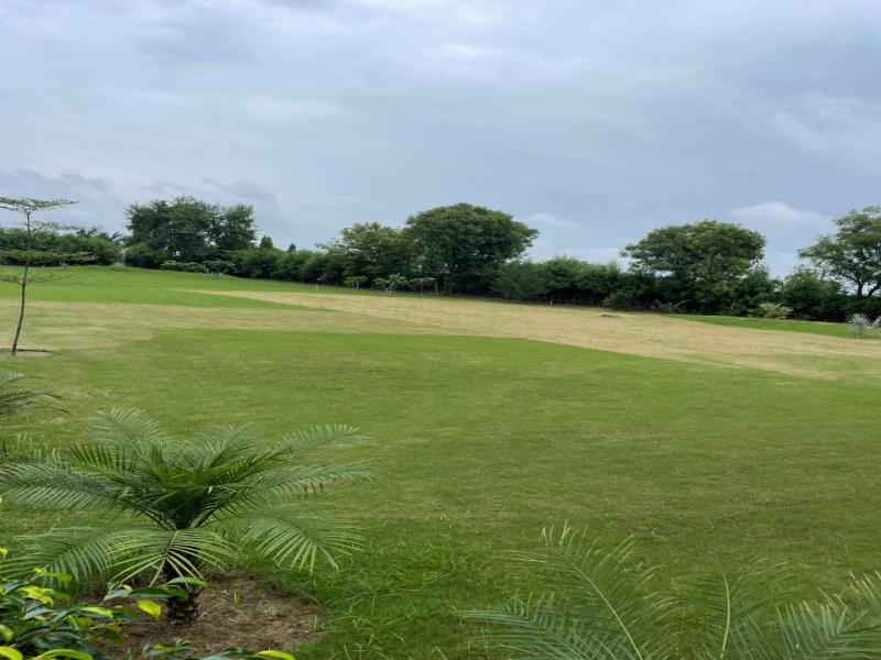  1500 Sq. Yards Agricultural/Farm Land for Sale in Sohna, Gurgaon