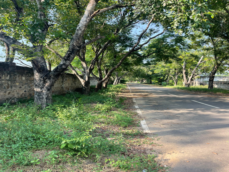  1800 Sq. Yards Agricultural/Farm Land for Sale in Faridabad Road, Gurgaon