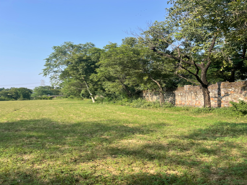  1800 Sq. Yards Agricultural/Farm Land for Sale in Faridabad Road, Gurgaon