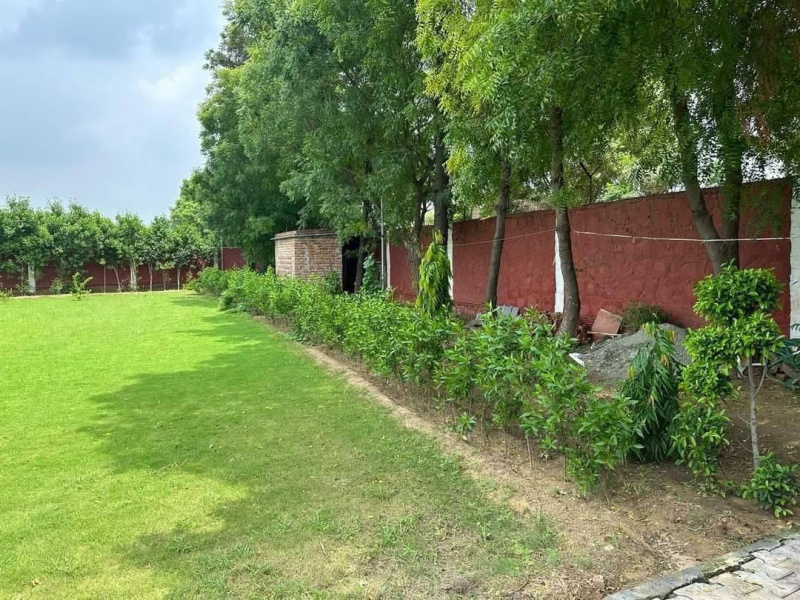  2 Acre Agricultural/Farm Land for Sale in Sohna, Gurgaon