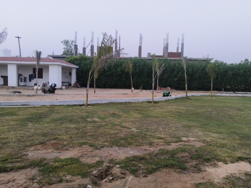  1 Acre Agricultural/Farm Land for Sale in Sohna, Gurgaon