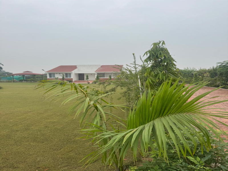  1 Acre Agricultural/Farm Land for Sale in Faridabad Road, Gurgaon