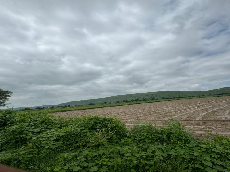  12 Bigha Agricultural/Farm Land for Sale in Kaman, Bharatpur