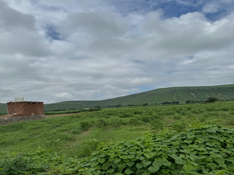  12 Bigha Agricultural/Farm Land for Sale in Kaman, Bharatpur