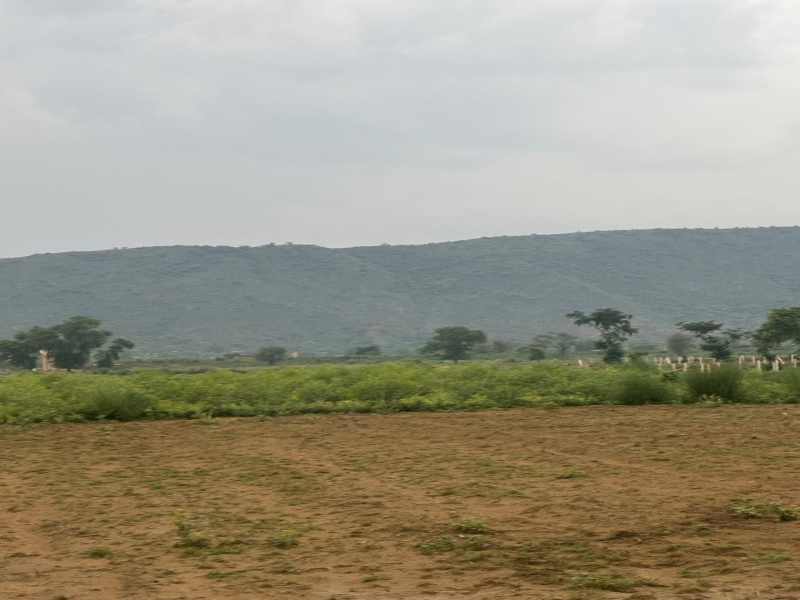  25 Bigha Agricultural/Farm Land for Sale in Pahari, Bharatpur