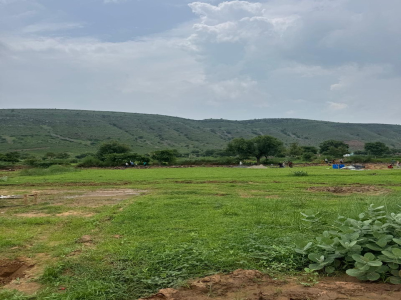  25 Bigha Agricultural/Farm Land for Sale in Pahari, Bharatpur