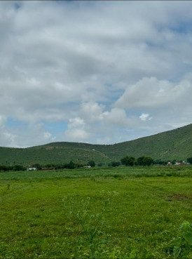  50 Bigha Agricultural/Farm Land for Sale in Pahari, Bharatpur