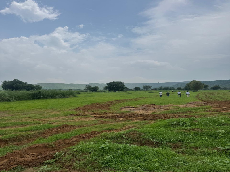  50 Bigha Agricultural/Farm Land for Sale in Pahari, Bharatpur