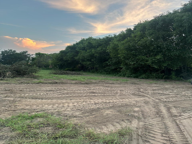  2800 Sq. Yards Agricultural/Farm Land for Sale in Sohna, Gurgaon