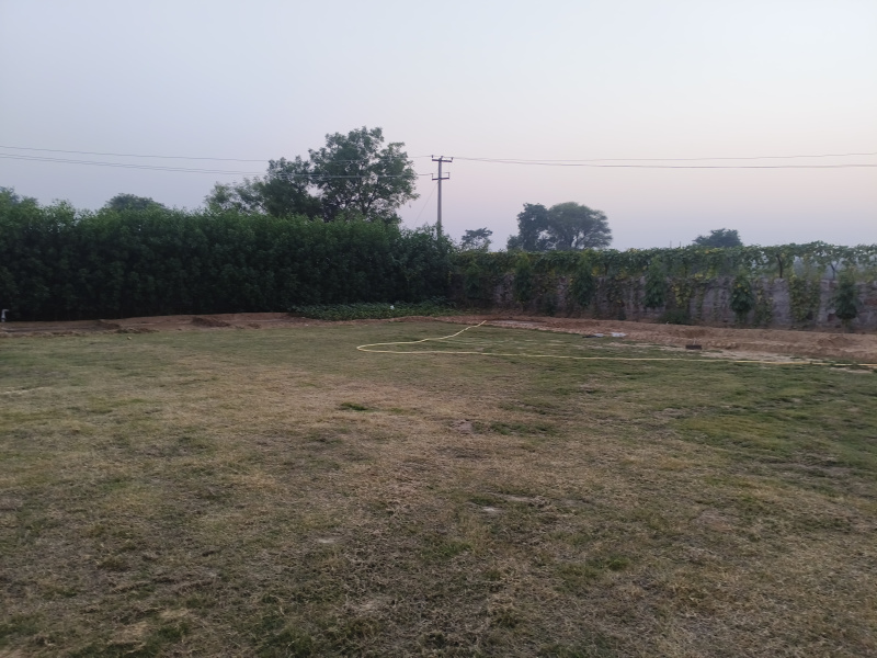  1 Acre Agricultural/Farm Land for Sale in Sohna, Gurgaon