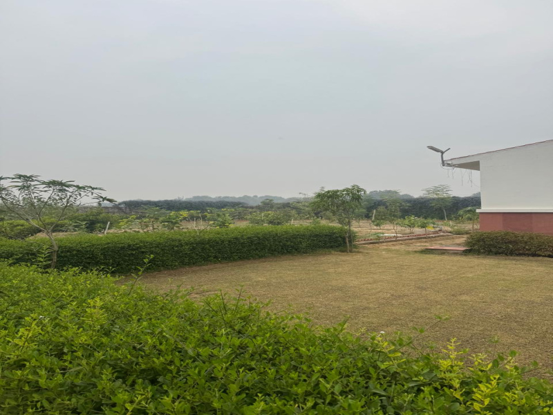  3200 Sq. Yards Agricultural/Farm Land for Sale in Sohna Road, Gurgaon