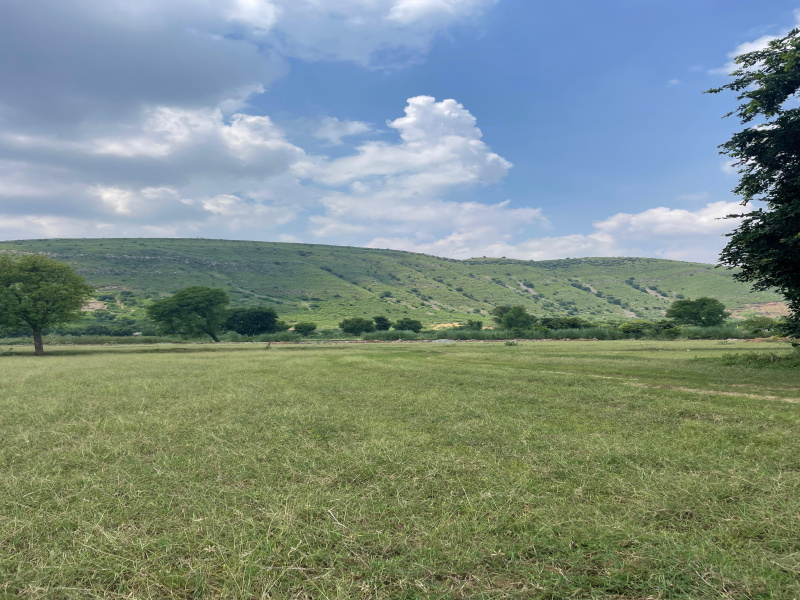  25 Bigha Agricultural/Farm Land for Sale in Pahari, Bharatpur