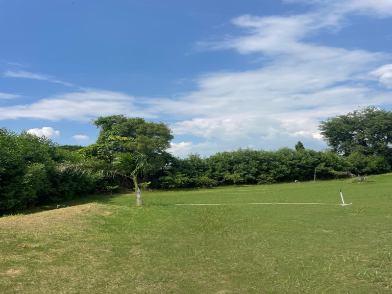  1 Acre Agricultural/Farm Land for Sale in Sohna, Gurgaon