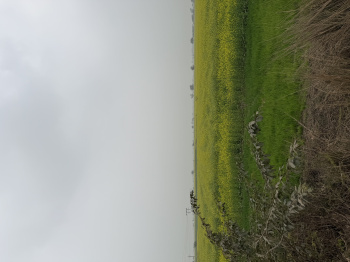  Agricultural Land for Sale in Pahari, Bharatpur