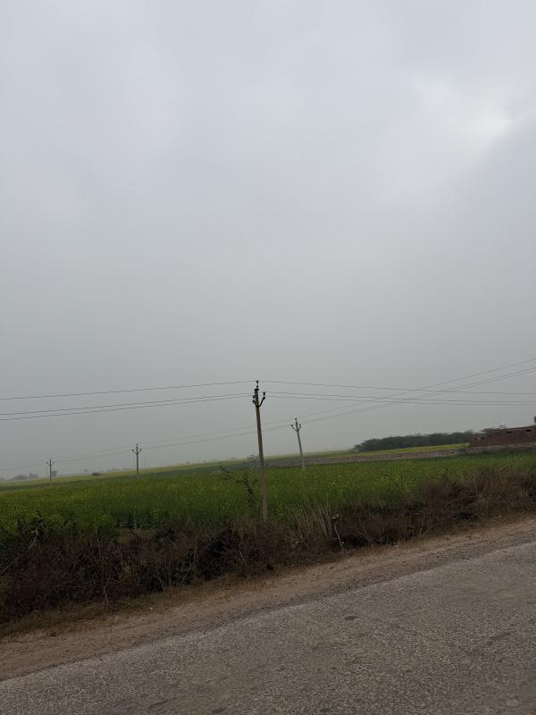  10 Bigha Agricultural/Farm Land for Sale in Pahari, Bharatpur