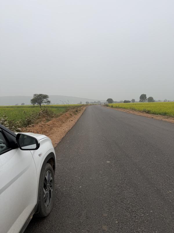  12 Bigha Agricultural/Farm Land for Sale in Pahari, Bharatpur