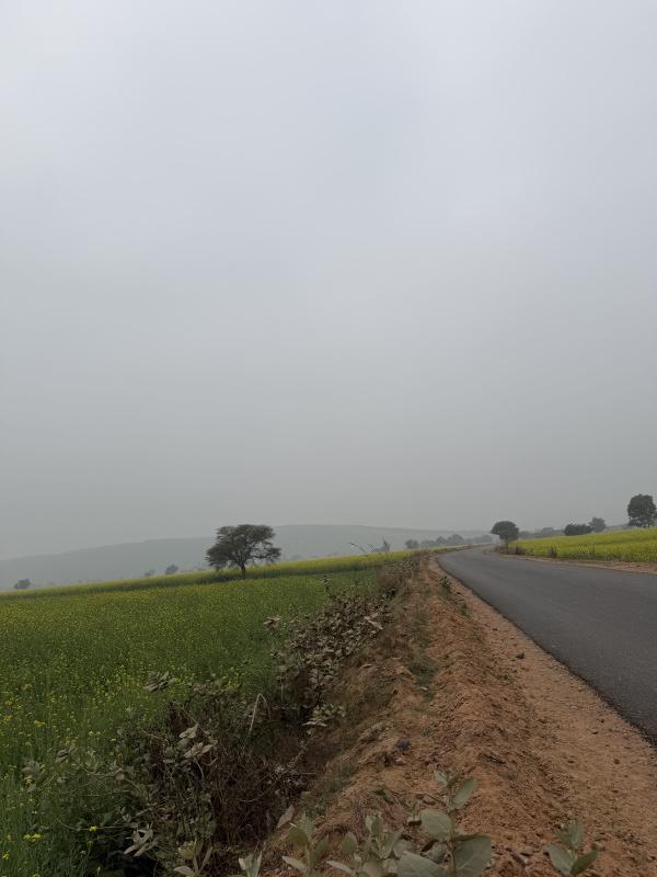  25 Bigha Agricultural/Farm Land for Sale in Naugaon, Alwar