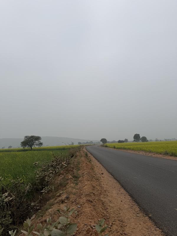  25 Bigha Agricultural/Farm Land for Sale in Naugaon, Alwar