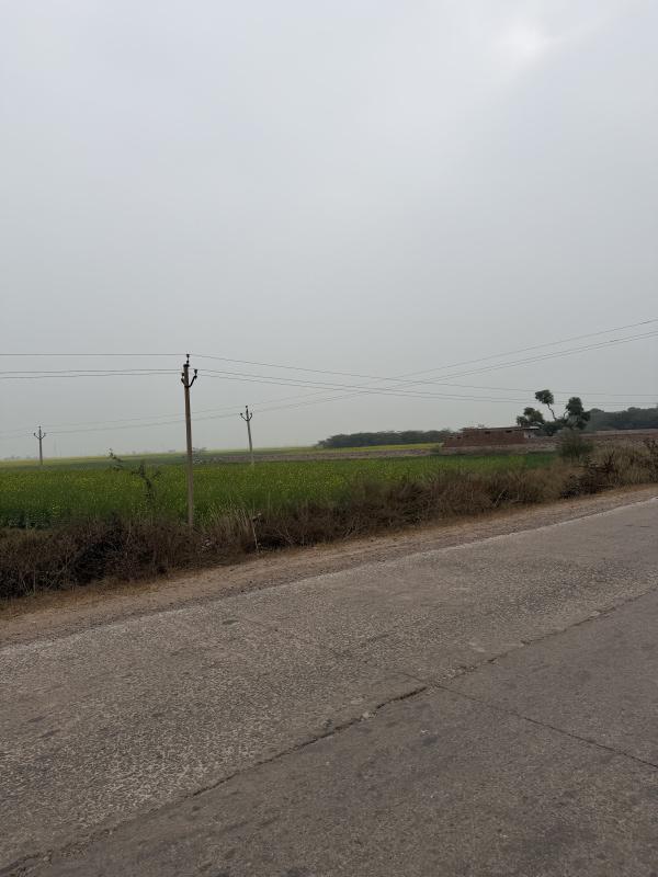  60 Bigha Agricultural/Farm Land for Sale in Naugaon, Alwar