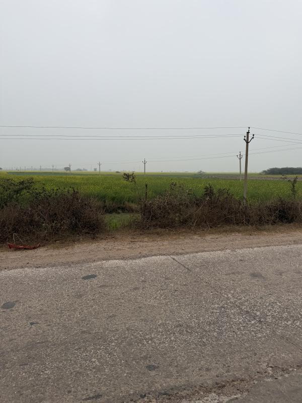  60 Bigha Agricultural/Farm Land for Sale in Naugaon, Alwar