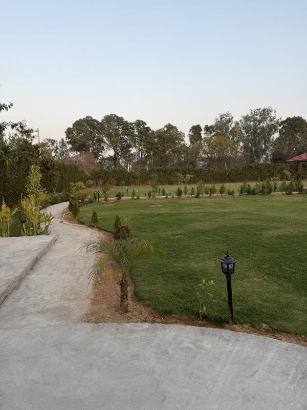  5 Bigha Agricultural/Farm Land for Sale in Naugaon, Alwar
