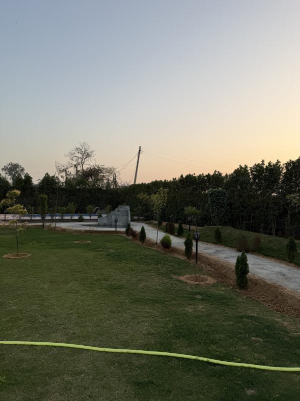  5 Bigha Agricultural/Farm Land for Sale in Naugaon, Alwar