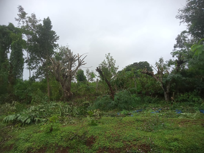  Agricultural Land 311020 Sq.ft. for Sale in Pethanaickenpalayam, Salem