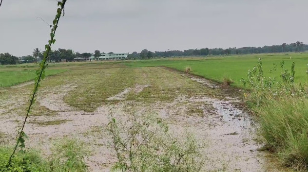  40510 Sq.ft. Residential Plot for Sale in Delanga, Puri