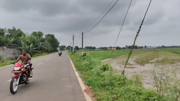  40510 Sq.ft. Residential Plot for Sale in Delanga, Puri