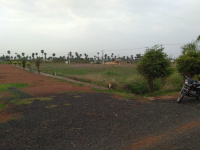  Residential Plot for Sale in Palangi, Tanuku, West Godavari