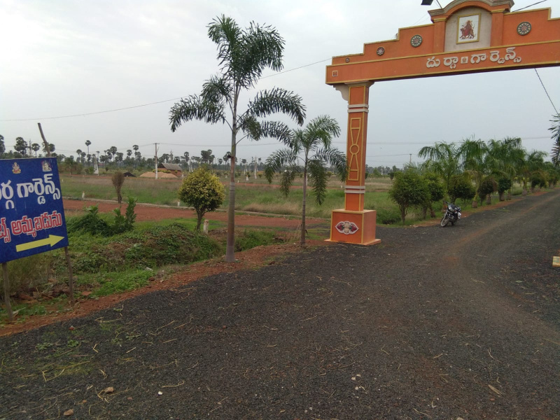  Residential Plot 240 Sq.ft. for Sale in Palangi, Tanuku, West Godavari