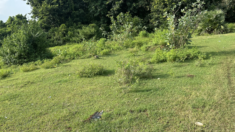 92 Sq. Yards Residential Plot for Sale in Rajam, Srikakulam