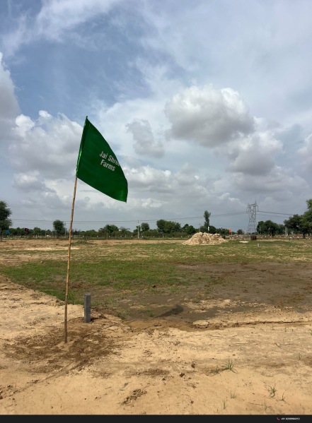  Agricultural Land 500 Sq. Yards for Sale in Bagru, Jaipur