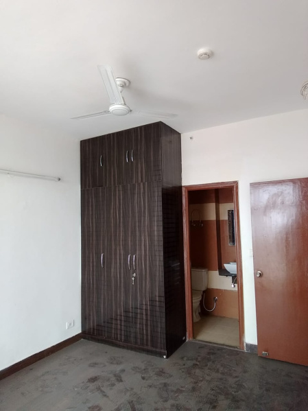 2.5 BHK Apartment 950 Sq.ft. for Rent in Sector 16C Greater Noida West