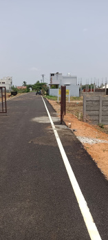  Residential Plot for Sale in Allithurai, Tiruchirappalli