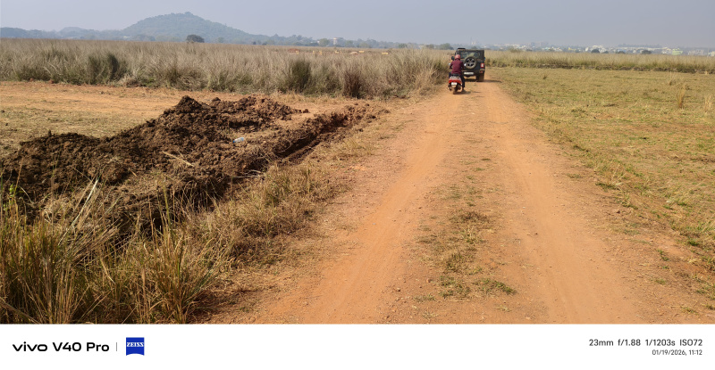Pipili, Puri photo 2