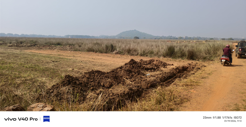 Pipili, Puri photo 3