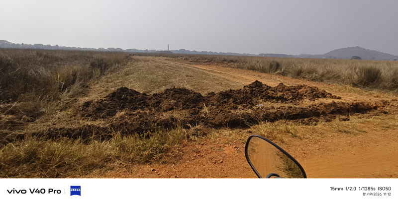 Pipili, Puri photo 4
