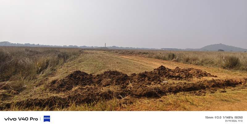 Pipili, Puri photo 5