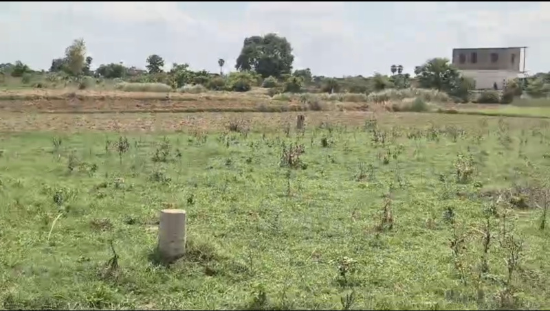 1200 Sq.ft. Residential Plot for Sale in Kanhauli, Bihta, Patna