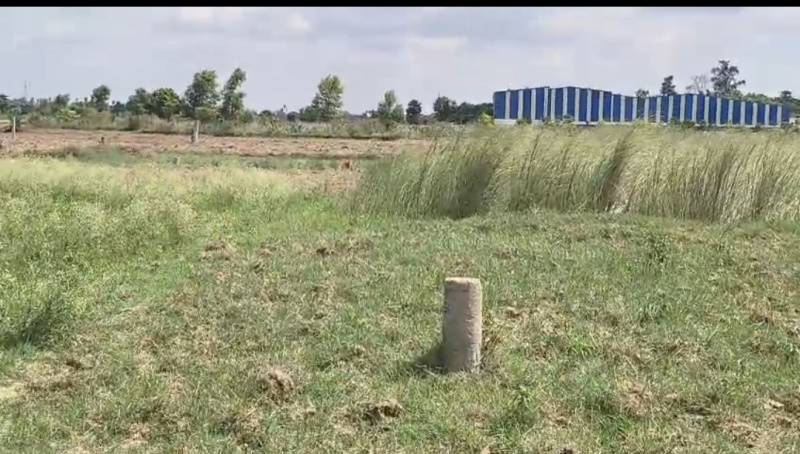  Commercial Land 1200 Sq.ft. for Sale in Kanhauli, Bihta, Patna