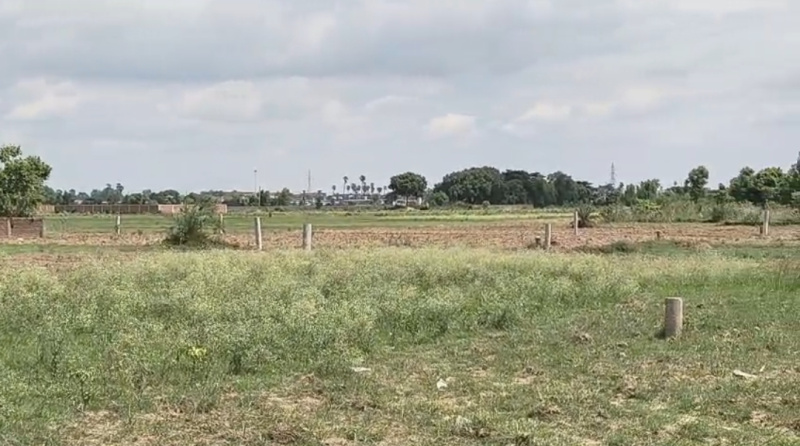  Commercial Land 1200 Sq.ft. for Sale in Kanhauli, Bihta, Patna