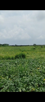 Agricultural Land for Sale in Betma, Indore