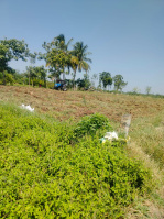  Agricultural Land for Sale in Perali Road, Virudhunagar