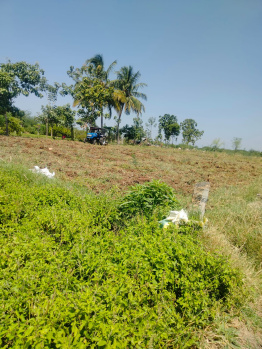  Agricultural Land for Sale in Perali Road, Virudhunagar