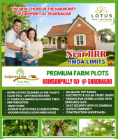  Residential Plot for Sale in Narayankhed, Sangareddy