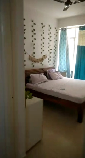 1 BHK Apartment 417 Sq.ft. for Rent in Sohna, Gurgaon