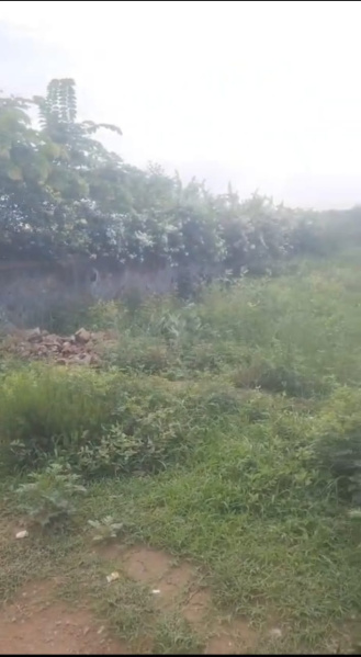  Agricultural Land 8 Bigha for Sale in Naugaon, Alwar